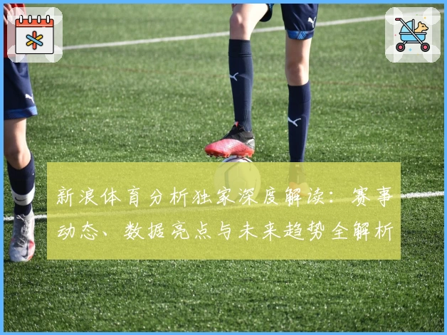新浪体育分析独家深度解读：赛事动态、数据亮点与未来趋势全解析
