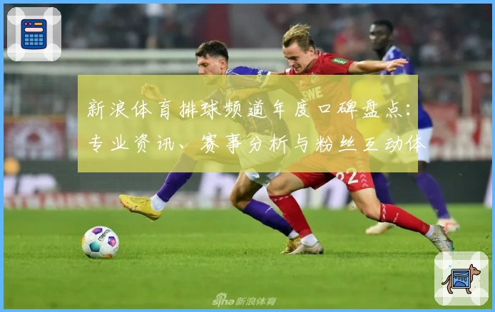 新浪体育排球频道年度口碑盘点：专业资讯、赛事分析与粉丝互动体验大揭秘