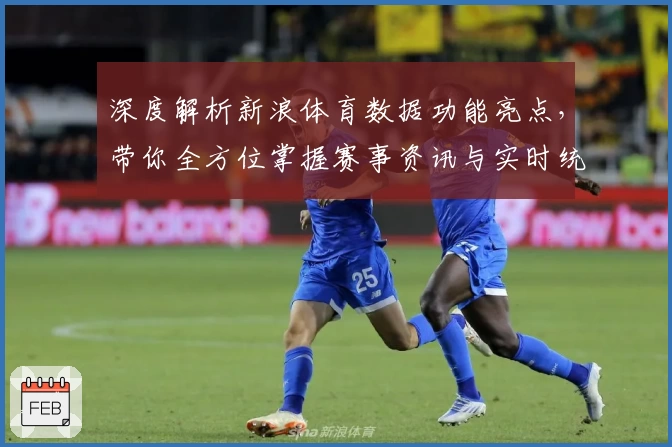 深度解析新浪体育数据功能亮点，带你全方位掌握赛事资讯与实时统计秘诀