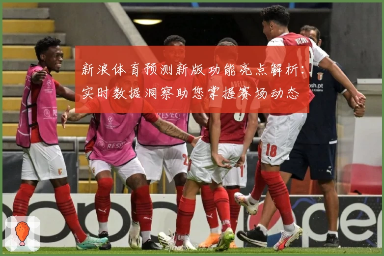 新浪体育预测新版功能亮点解析：实时数据洞察助您掌握赛场动态