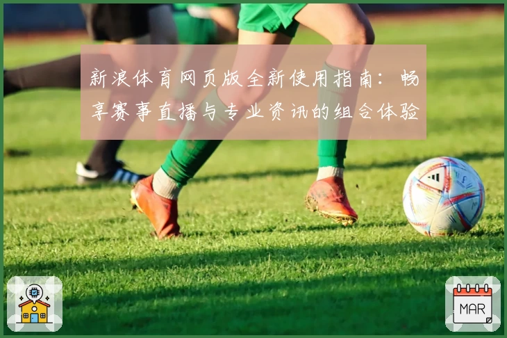 新浪体育网页版全新使用指南：畅享赛事直播与专业资讯的组合体验