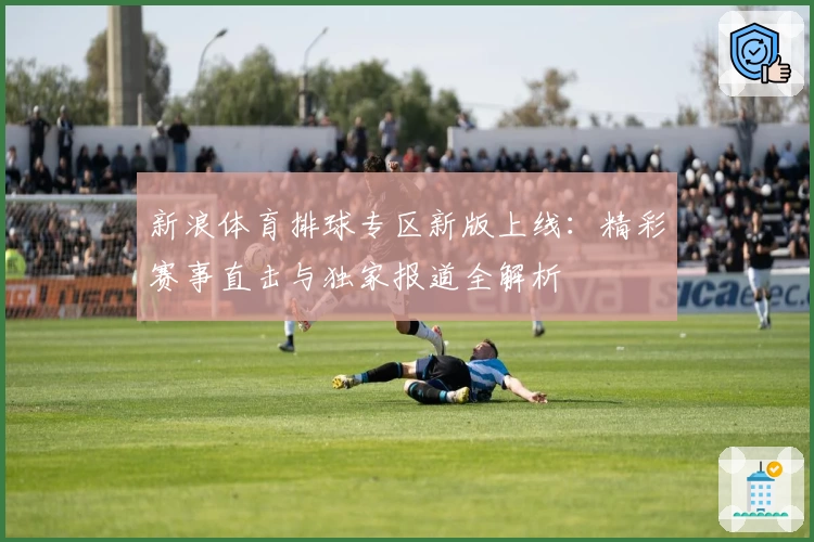 新浪体育排球专区新版上线：精彩赛事直击与独家报道全解析