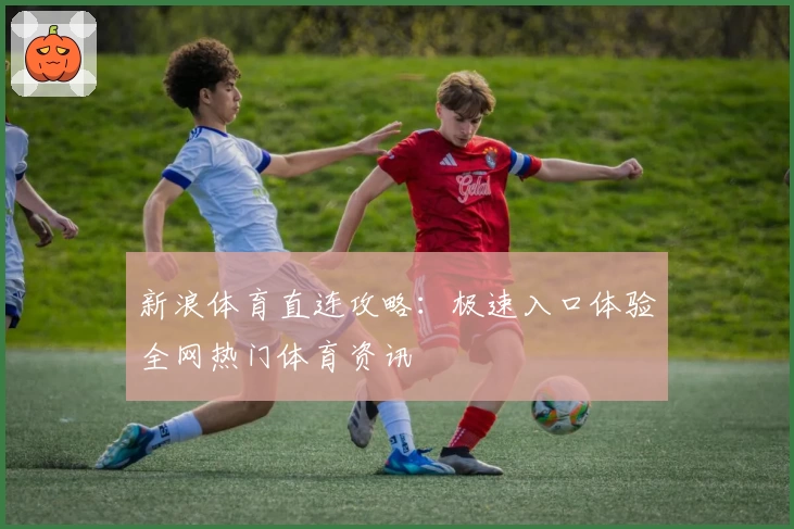 新浪体育直连攻略:极速入口体验全网热门体育资讯