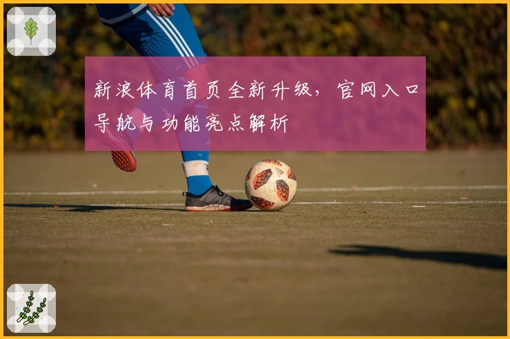 新浪体育首页全新升级，官网入口导航与功能亮点解析