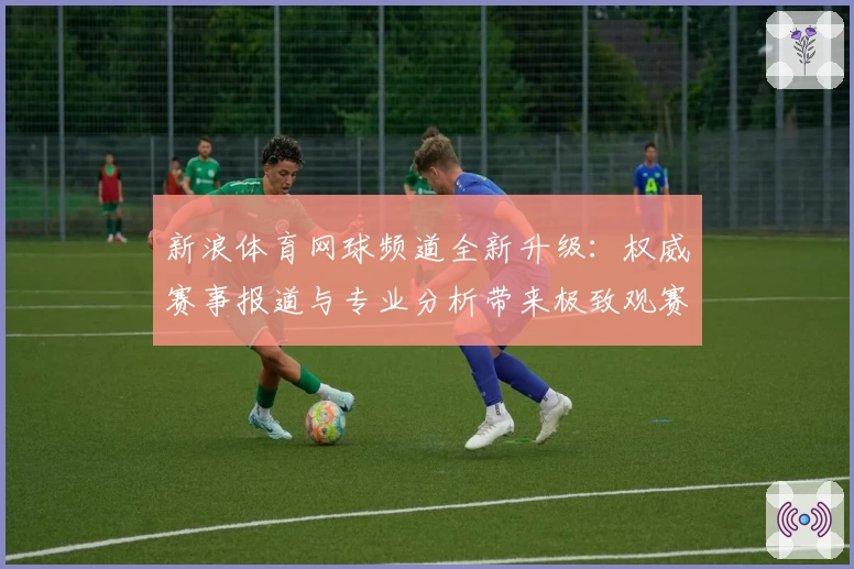 新浪体育网球频道全新升级：权威赛事报道与专业分析带来极致观赛体验