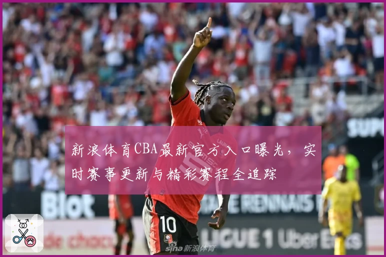 新浪体育CBA最新官方入口曝光，实时赛事更新与精彩赛程全追踪