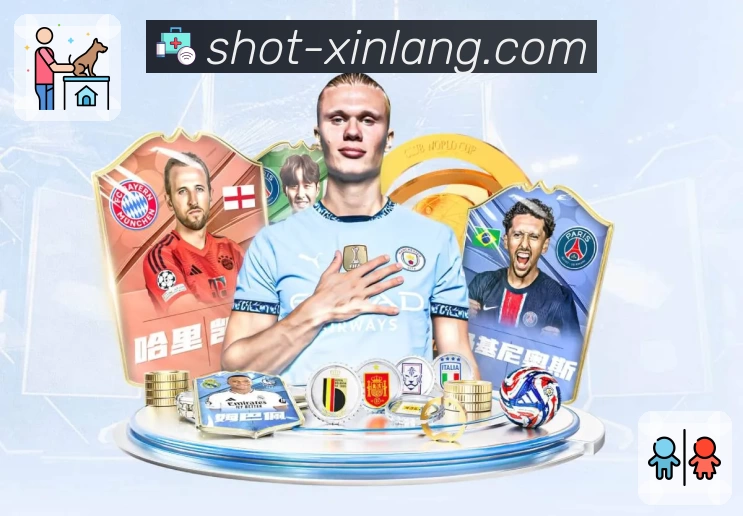 新浪体育服务体系